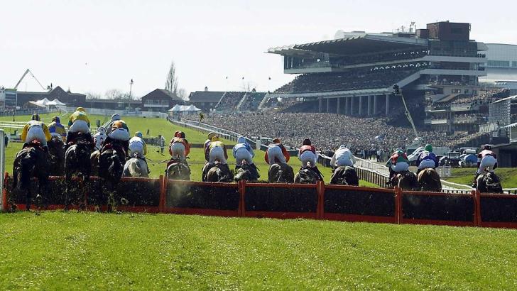 Horse racing at Cheltenham